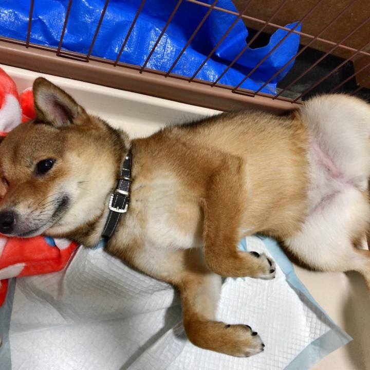 3aea97e3 182a 40e8 9a96 fb1a2db07a20 1526475573951