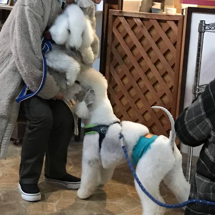 3aeb1d60 3d75 48d4 bdb3 8771d47d8d4a 1606294841893