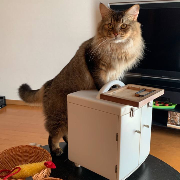 3aeb452d 7689 4b34 b31f 8bff6692ffc0 1758071198271