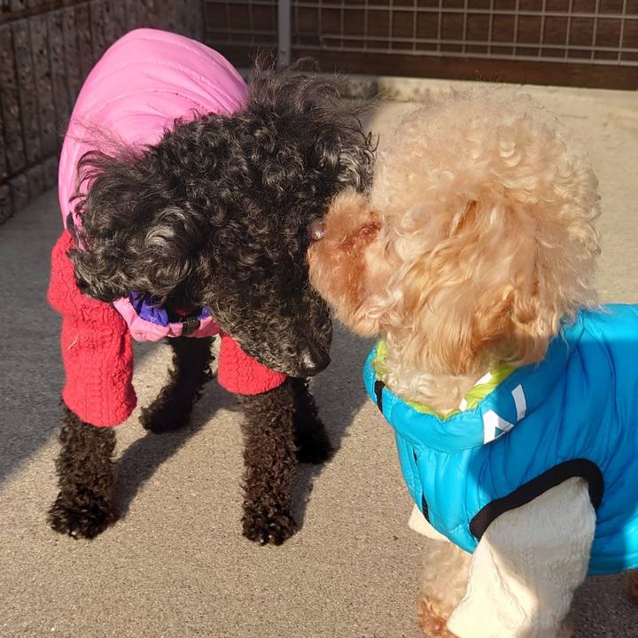 3aeb4fae 5b1d 45c6 82dc e0952e06d919 1769245954298