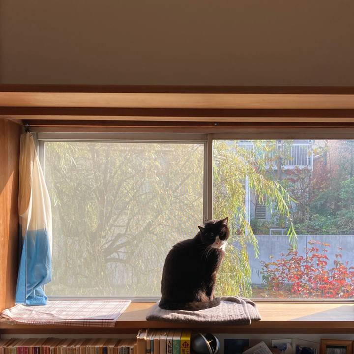 3aebaa91 d708 4578 86c9 e1bc4bc38f0e 1639269632491