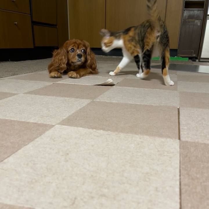 3aebcf82 aaa1 41cb 842e d7557d2a581e 1659478616553