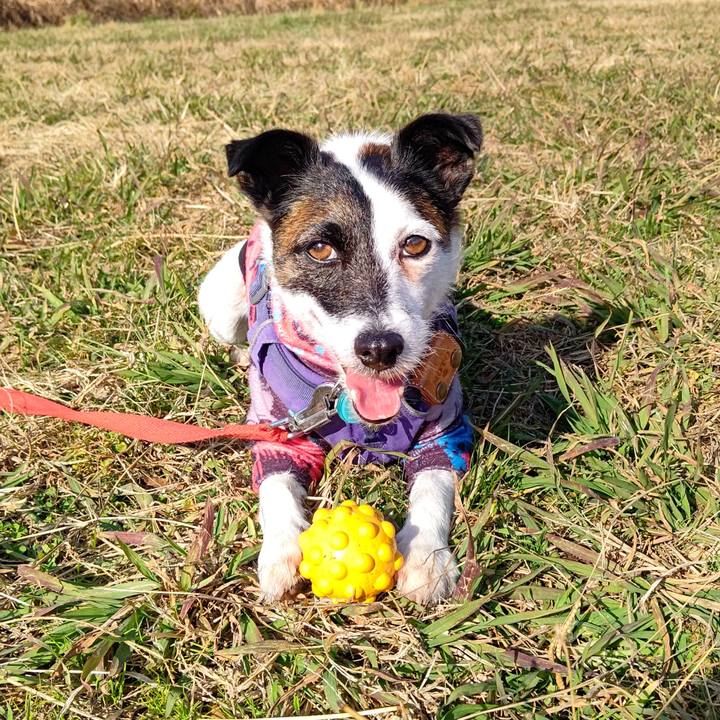 3aebe2d1 8bae 4323 a51a 02f7b74d68a3 1702695484416