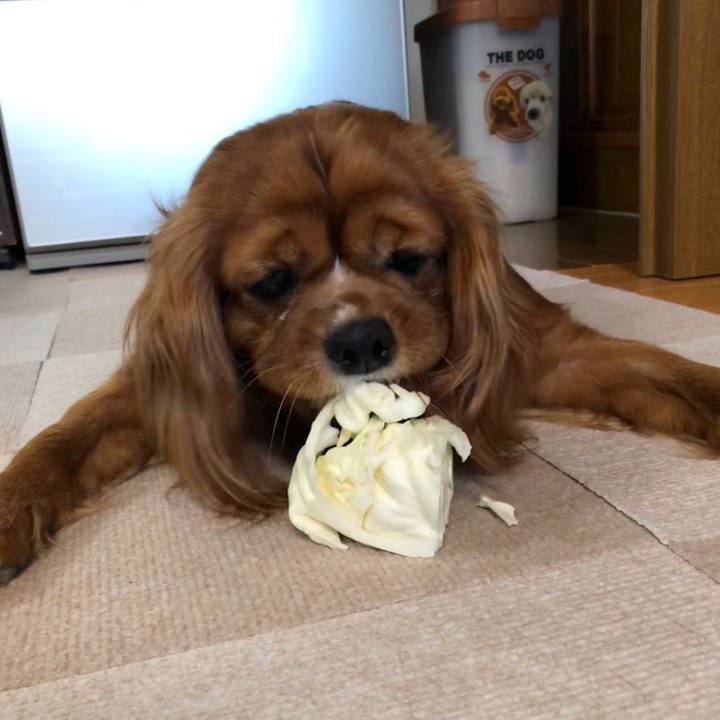 3aec1a24 7ea1 4c0b 82d8 98abb3967170 1591740276375