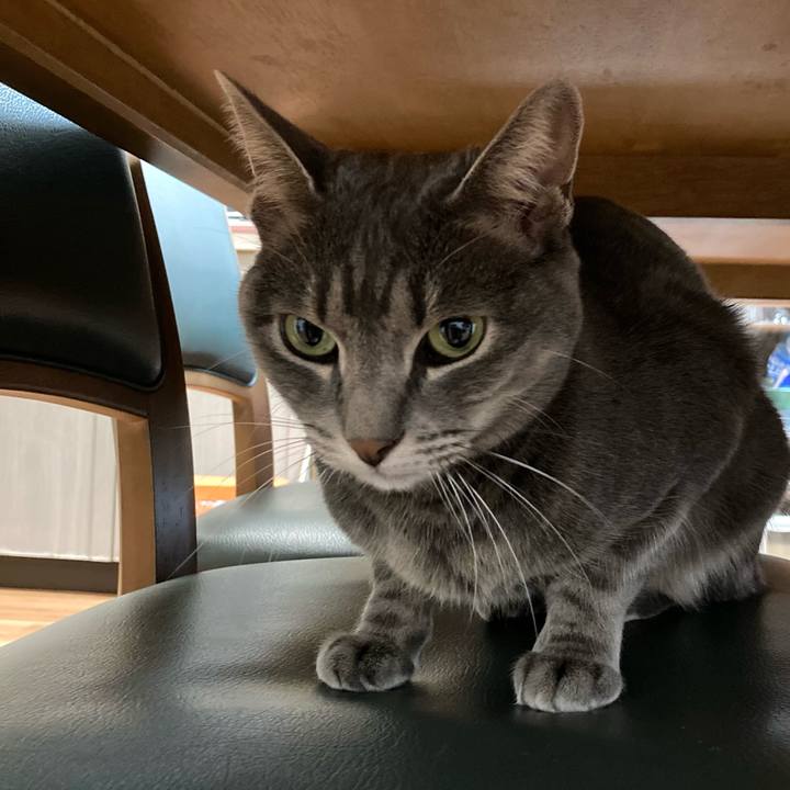 3aec2549 de4b 4a78 a035 4783421da1e9 1604062091723