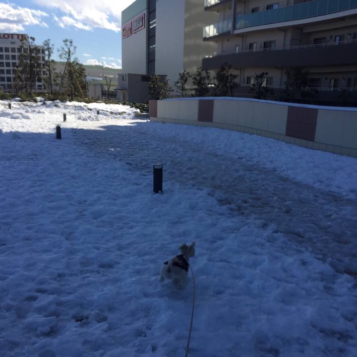 3aec44b5 d3fb 4153 8fa8 2c4015554632 1516795279338