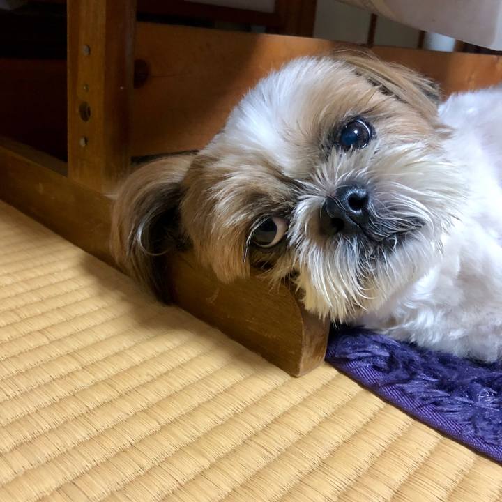 3aec61a6 dd3f 48e6 8046 319635b91572 1567857766692