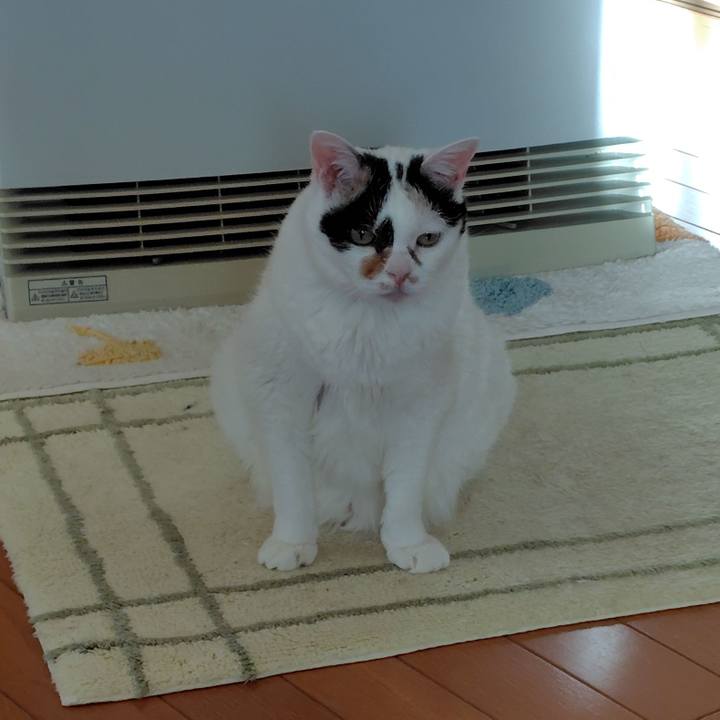 3aec67c4 1721 489f 8538 c8a0d7dea021 1766274724260