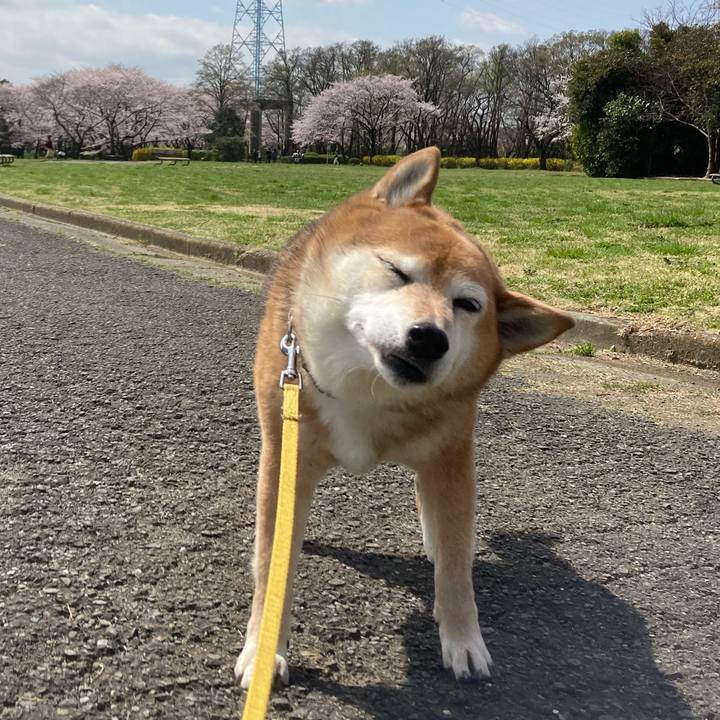 3aec8e34 1431 45fa bb69 0b2b964efc94 1648614819987