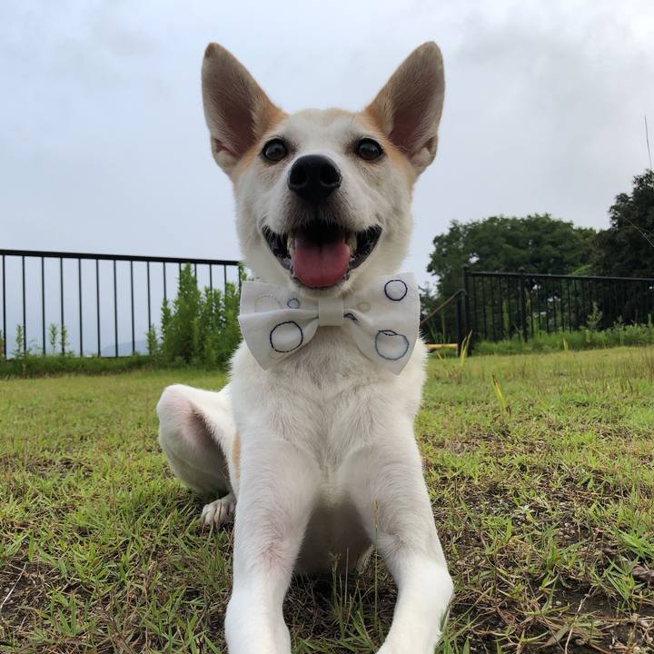 3aec9fd1 ffe9 4a2b afa6 3a6b2b26a02c 1596798430885