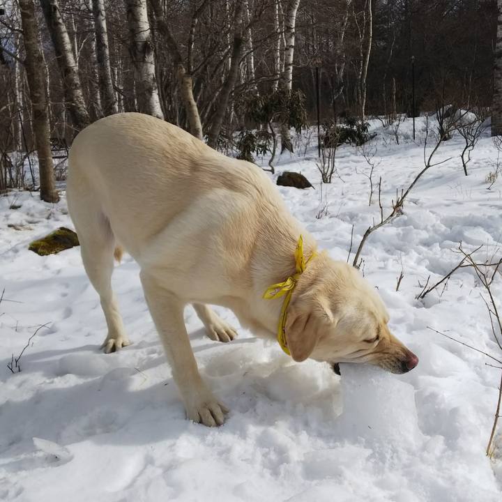 3aecb7e7 a589 41e0 bf24 add828509c4c 1515400061739