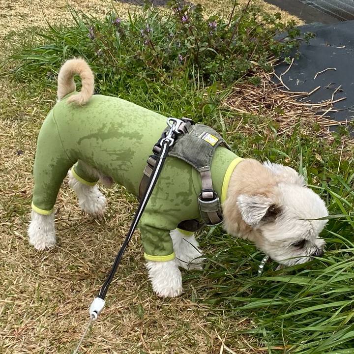 3aecb8a7 37b4 40d7 be56 cada30762d8e 1711267020743