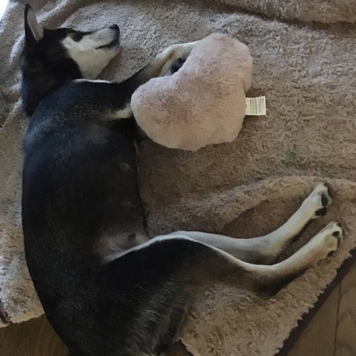 3aecd6b6 70d1 4d71 8c6a 8d7facf3a193 1509058327892