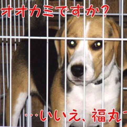 3aed0ebd 90d6 4246 94fd fd1268c3a93e 1683504926143