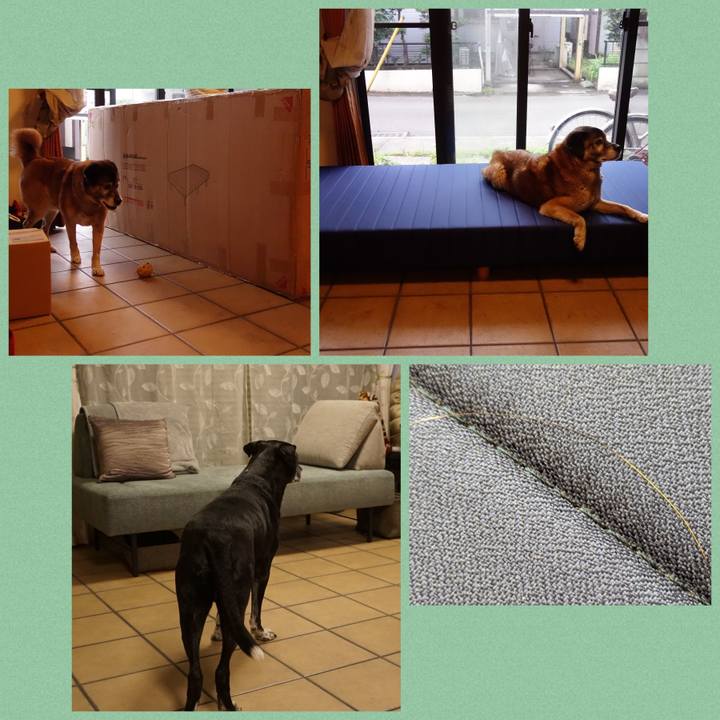 3aed30b8 f6e3 4bb4 868b 3848e2a89c40 1768821557231