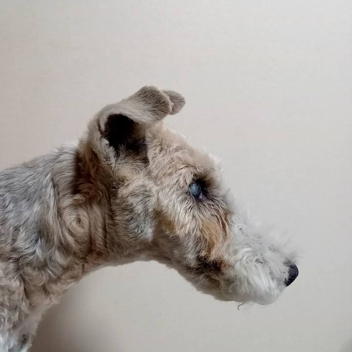 3aedc4e3 8ef2 4936 bb7e 53ebf9761edf 1607263430387