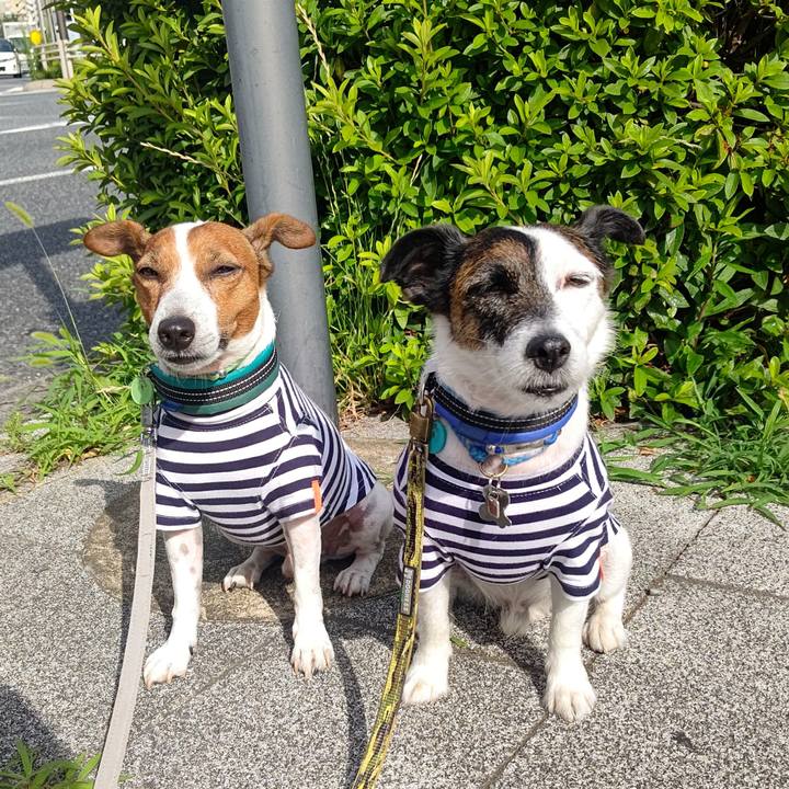 3aedeaab 1d19 47d2 b224 48057dca7e3c 1687216690174