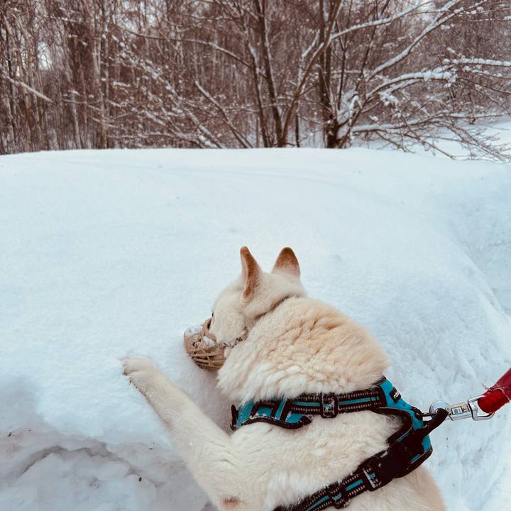 3aee0d3b 65da 4e0e ba45 b0198c5f56ef 1739487619195