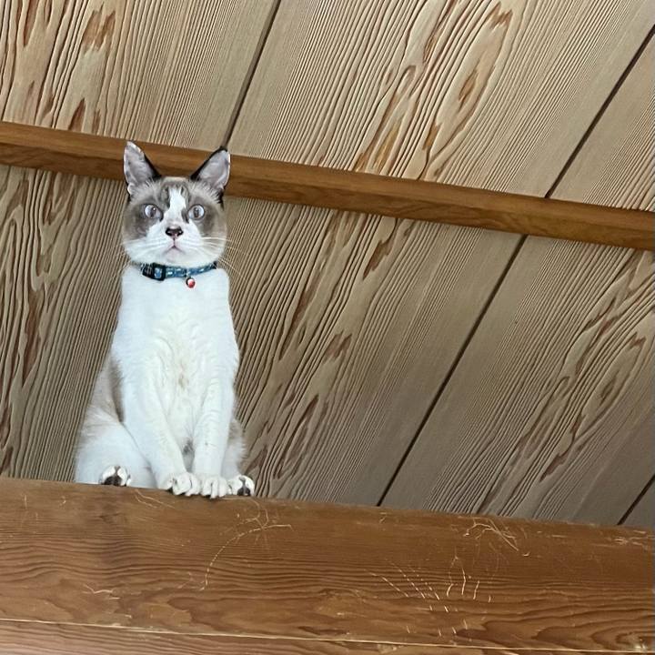 3aee3e77 9586 4733 adae 45f039bde553 1761478661306