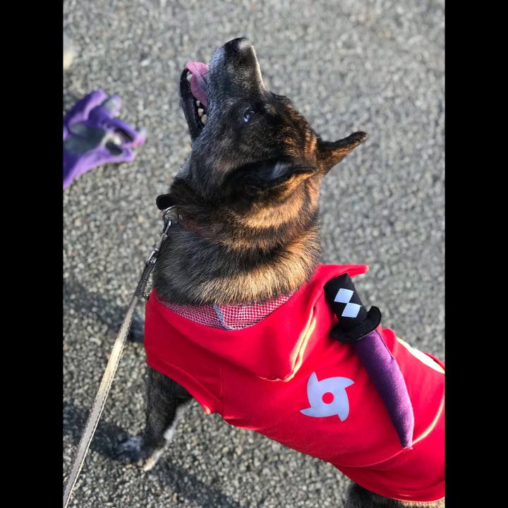 3aee6f73 9abe 4b06 9ddd adc077fc3e70 1572491346082