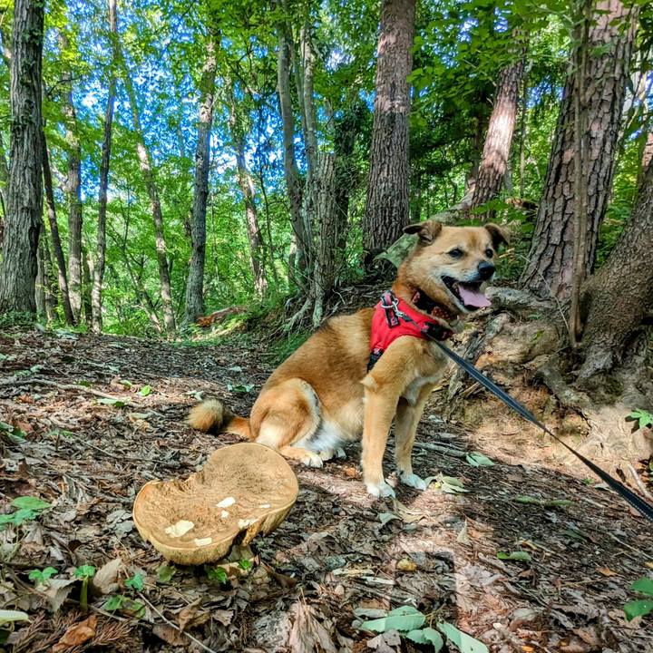 3aee9df3 03bc 4b2c 83b6 a9763e315b46 1692715806665