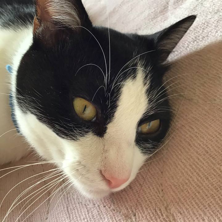 3aeea5af bbd3 405e beb0 965b8804289a 1658052826177