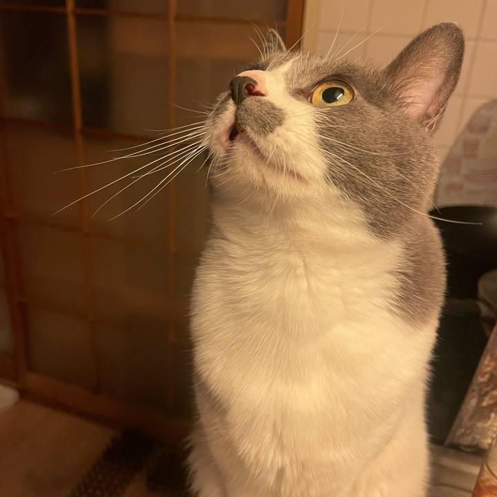 3aeec446 75bc 4893 9bc1 0aa897935203 1670406194969