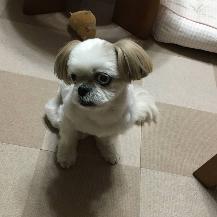 3aeecc89 5a6a 4702 ac8a f32ef8fe62f2 1596879627250