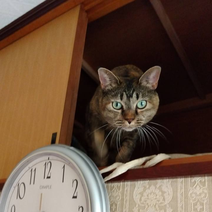 3aeef96b 55f1 4254 9a39 b2d46a44b391 1760086712256