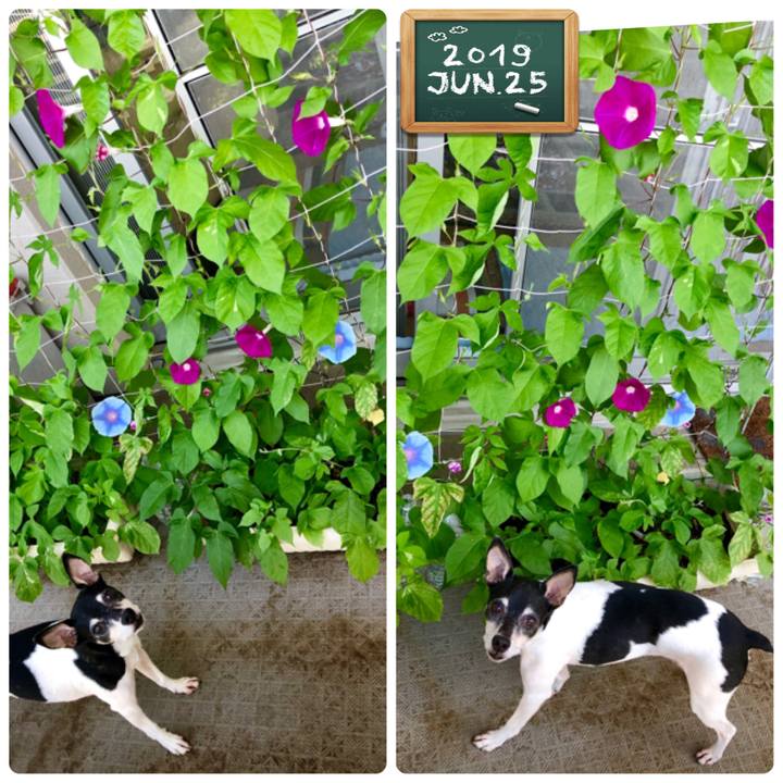 3aef1fa0 abac 4ae0 9a8c 865e8c9d5956 1561417657189