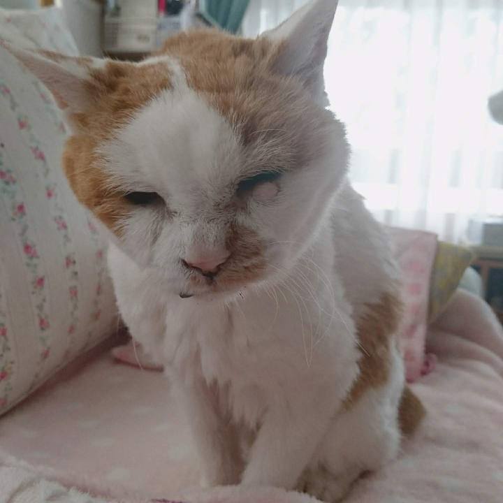 3aef365c b753 427b 9bc8 e98212f744e4 1655598799746