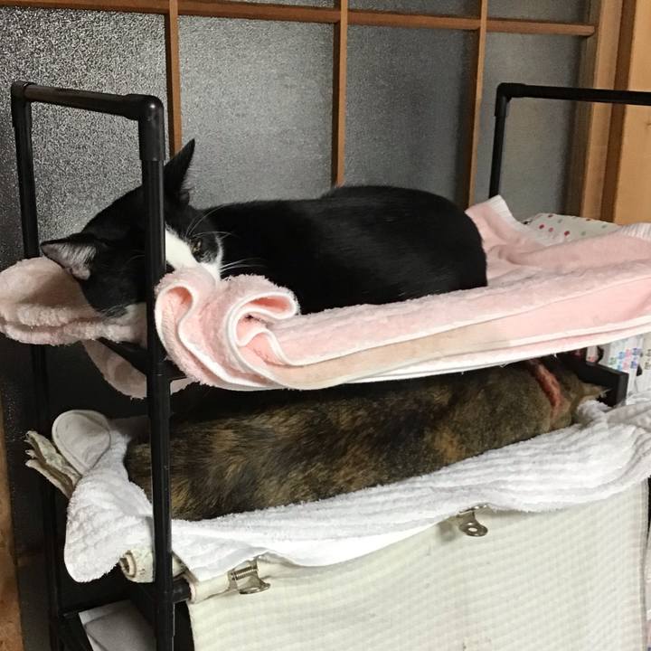 3aef8cab 4b18 4235 9ed5 af512b2d3c66 1634118315568