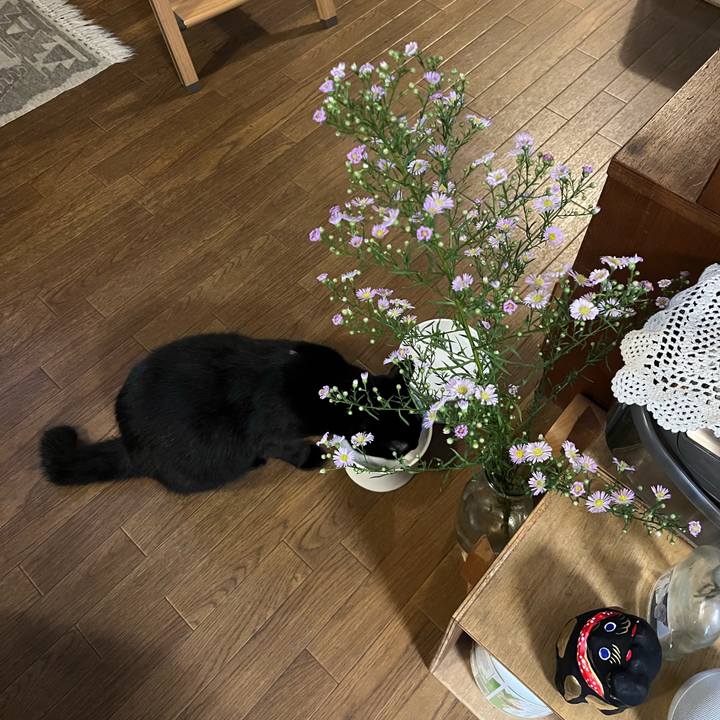 3aefa4e0 1b92 4ffd ac5f 43c1485eb6c6 1694132765769