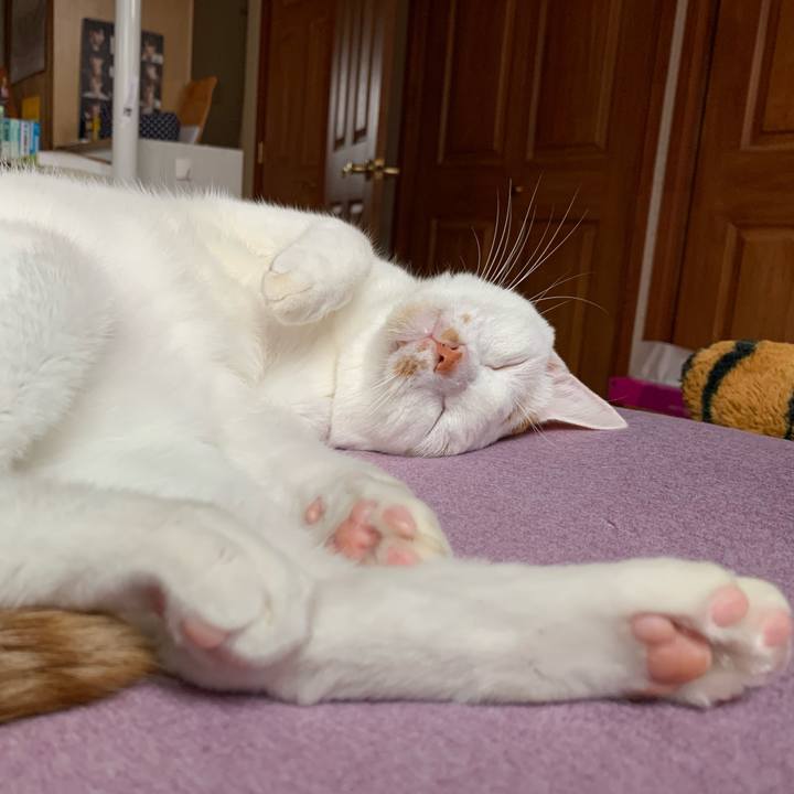 3aefe933 7ed1 4deb 9abe f1d5bbb9e131 1628462884927