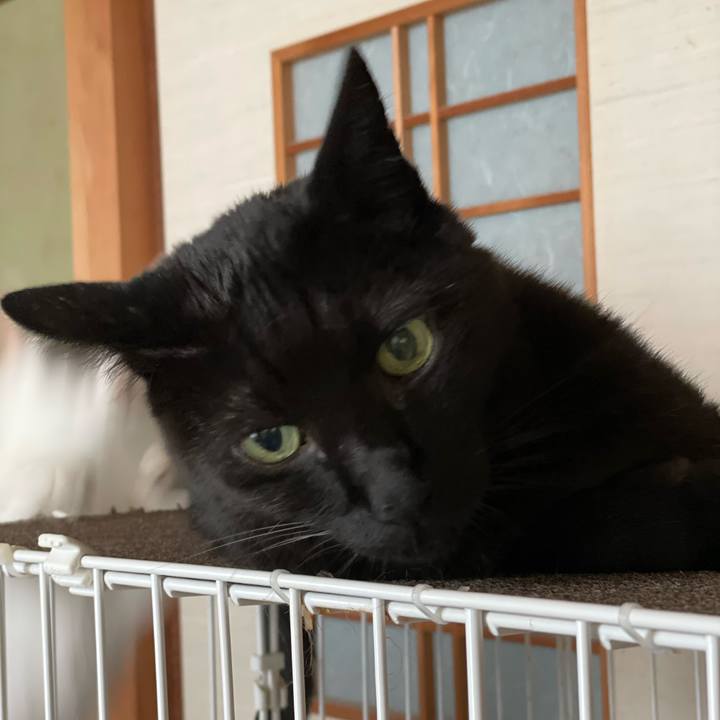 3af05028 069e 40d6 a2af 646e9f2c4436 1657756928977