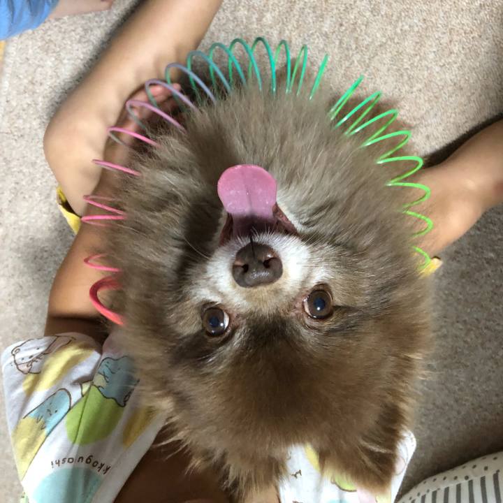 3af05078 ce5f 4e2f 8744 27a303f2b1cf 1592265989708