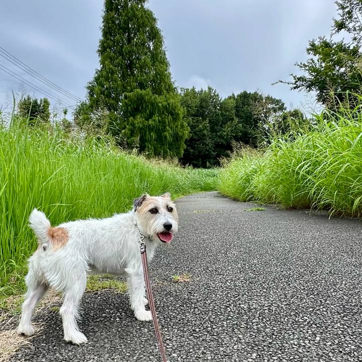 3af098e7 5402 46ae b365 ae1de71c6335 1755152629022