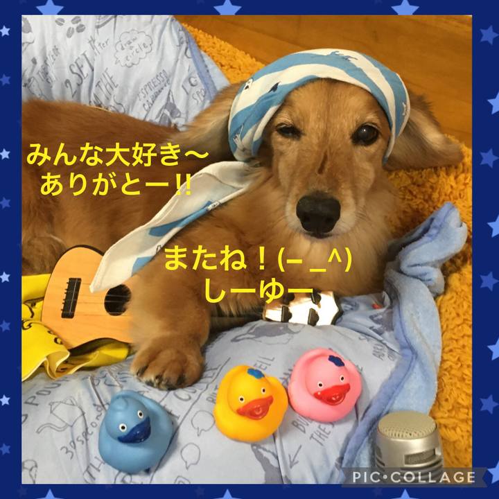 3af0a678 6888 4858 9291 7e61b2ce89d4 1628952492368