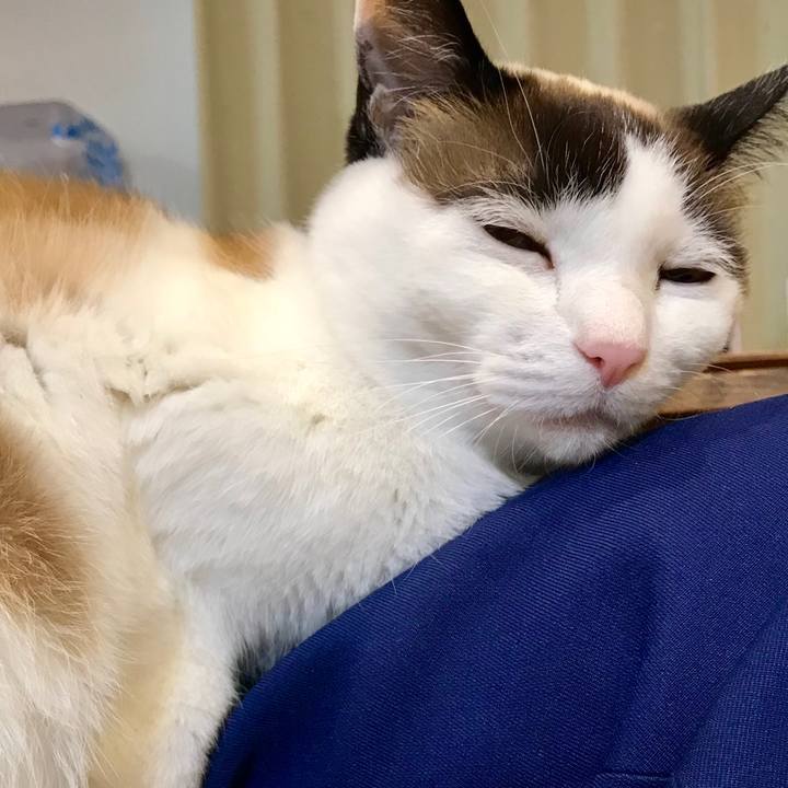 3af0af23 bd66 49b7 aba1 048d7badd686 1548209035769