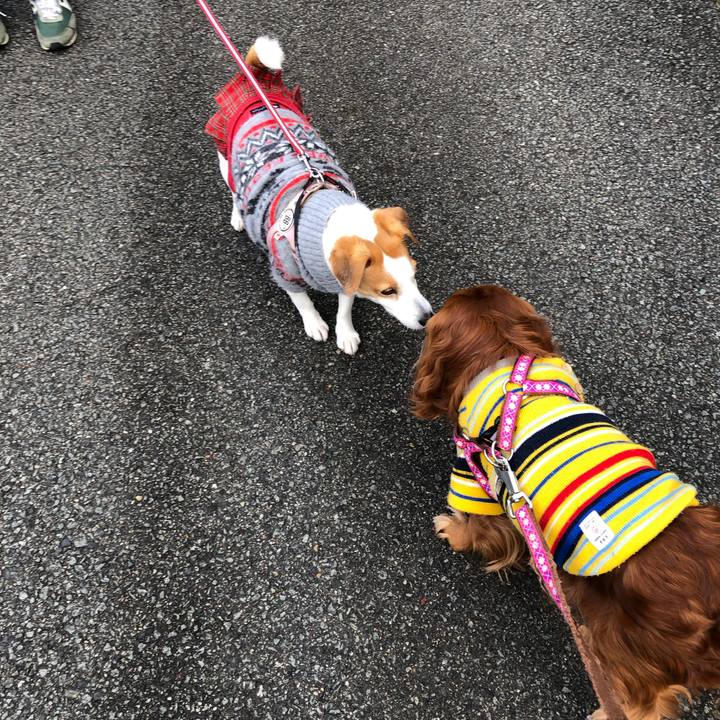 3af0bf32 439e 4f06 b984 f16094597842 1642812057551