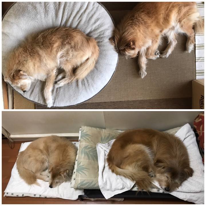 3af0ce76 68f3 42ed 8332 9e9e60c42e54 1615819849123