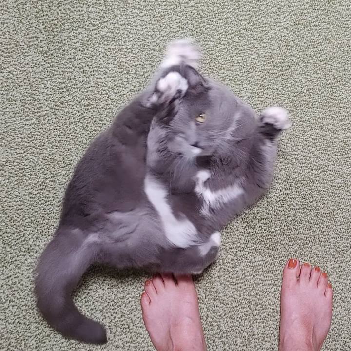 3af0e80d bdc7 4631 80a7 f934c1ea0fb9 1687429386094