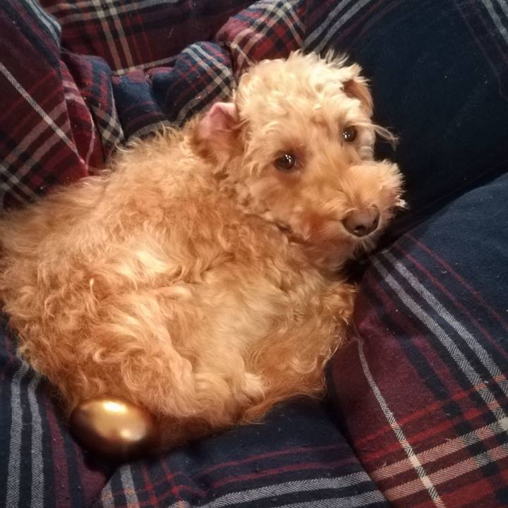 3af12222 912e 4378 bebd c8b790c8bafc 1572993848869