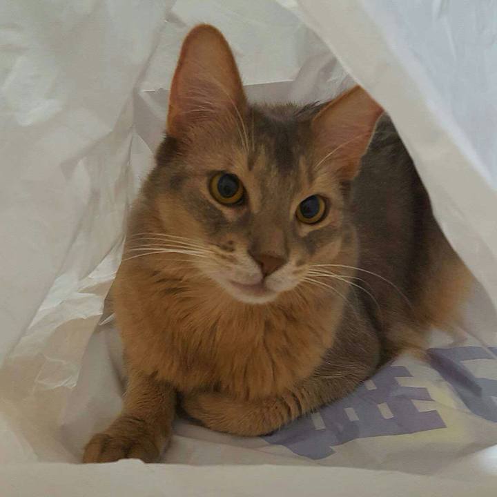 3af130b5 824e 4203 8891 a40e68900ed3 1541232794464