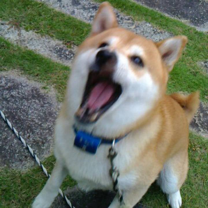 3af164f9 71a9 48d3 a27d 2ebfab3d3b12 1572619177539