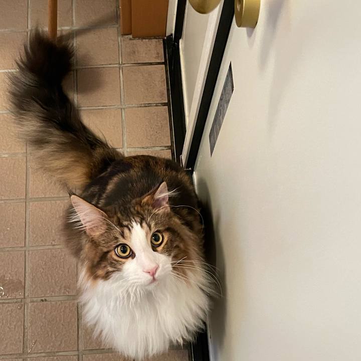 3af182f9 a447 466e b9e1 c7fd547cc125 1645653379922