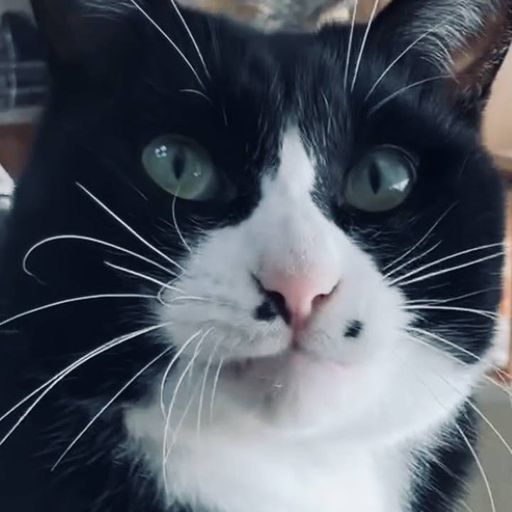 3af194d4 70fa 4d7c b05b 72eac2113671 1733108682288