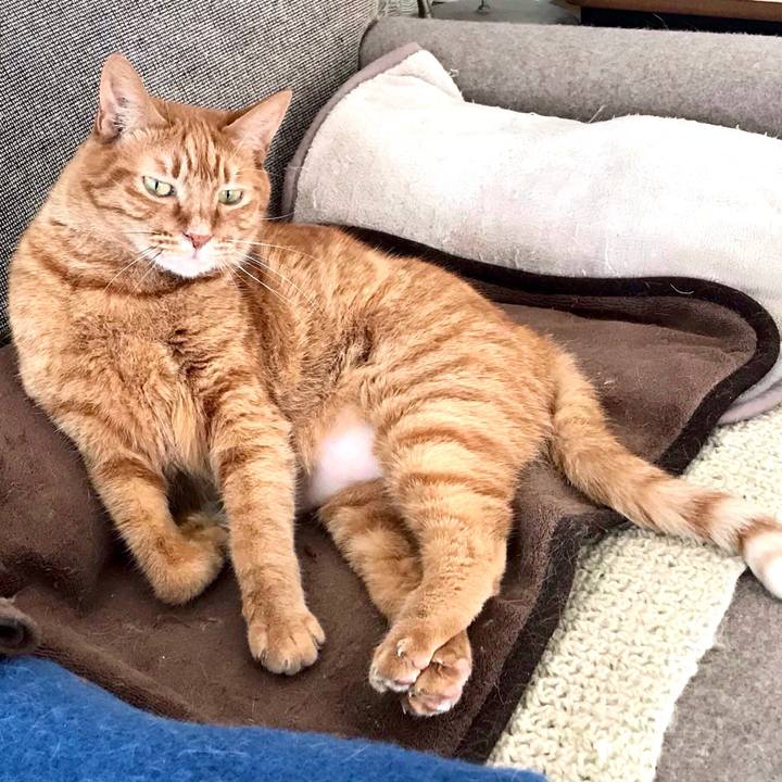 3af1aa0c dc68 4101 8355 b5da0067dbf1 1580704404706