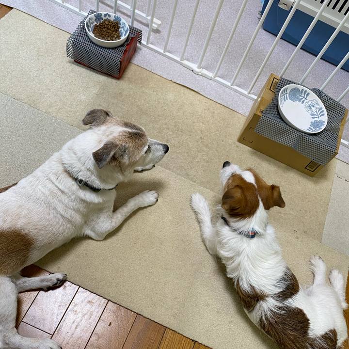 3af22322 8974 4944 875b 5fd5bd8903dc 1689379852488