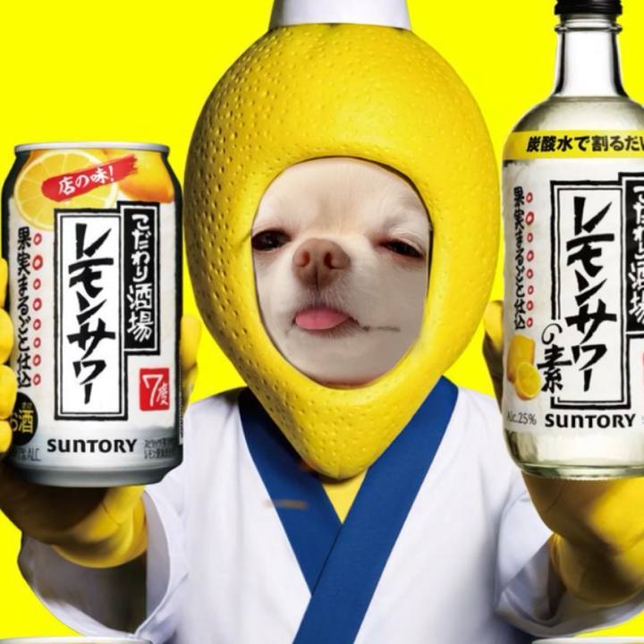 3af22adf ed8f 4868 829b a31b8c24e8d4 1723270066609